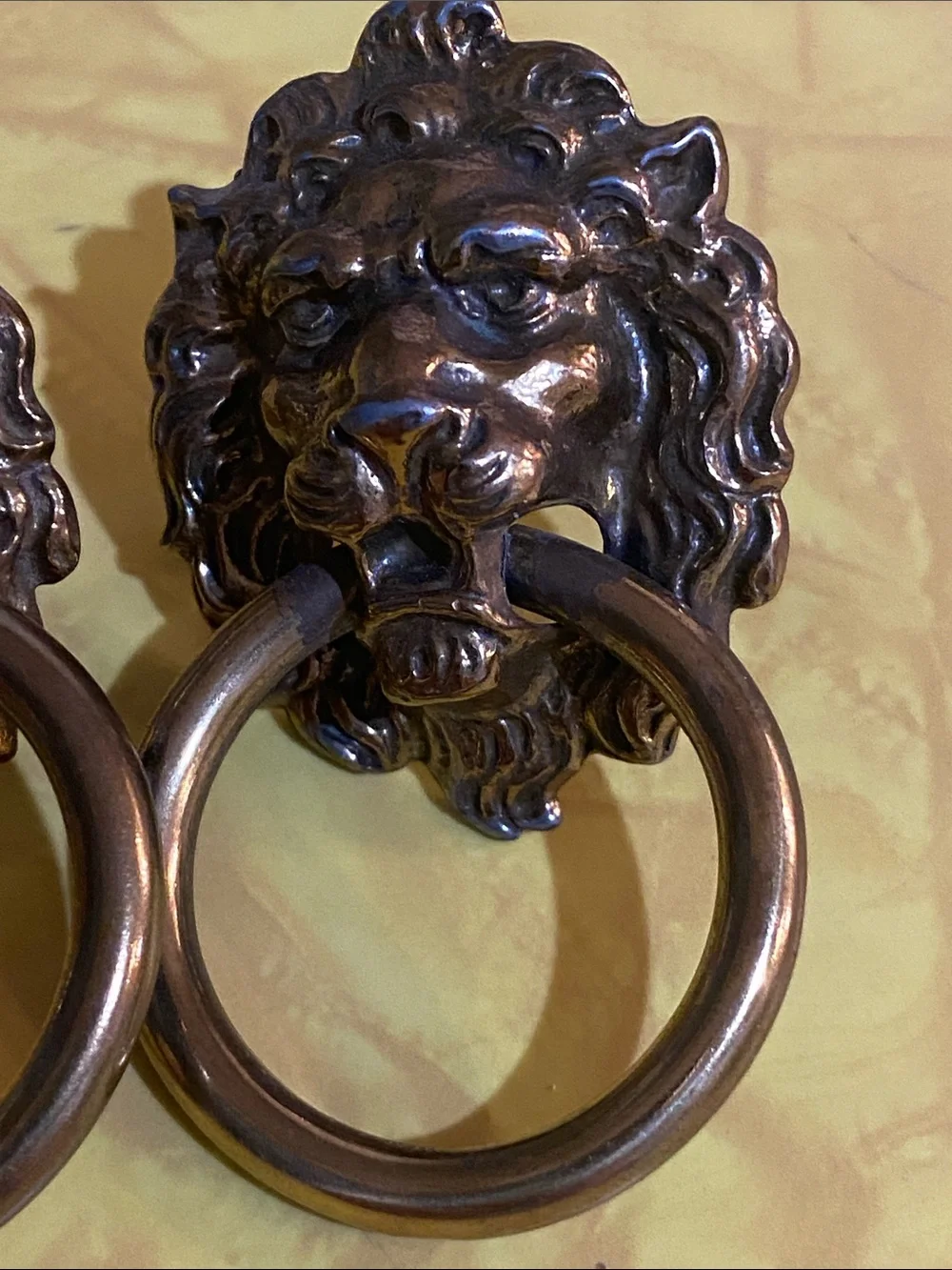 Bronze Lion Head Knobs Bronze Finish